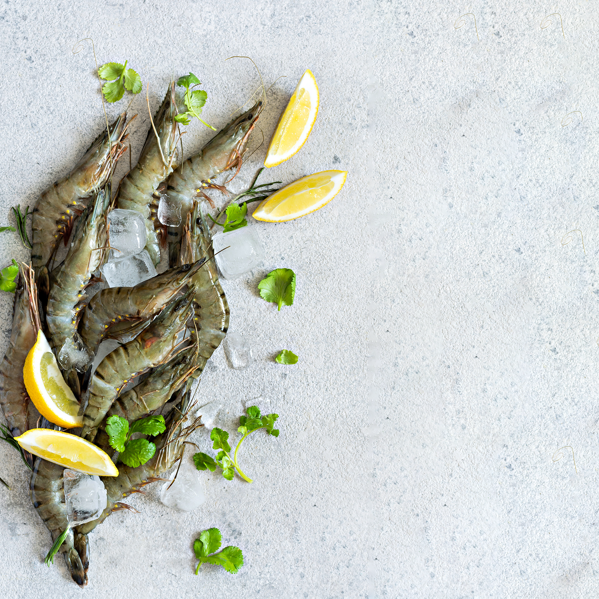 Crevettes surgelées