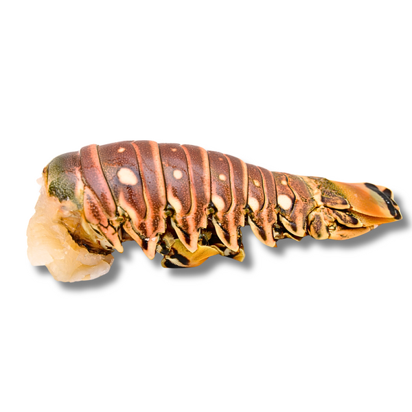 QUEUES DE LANGOUSTES CRUS (SACHET D'ENVIRON 500G - 5 PCS)