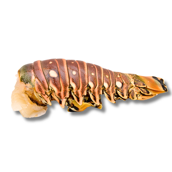 QUEUES DE LANGOUSTES CRUS (SACHET D'ENVIRON 600G - 5 PCS)