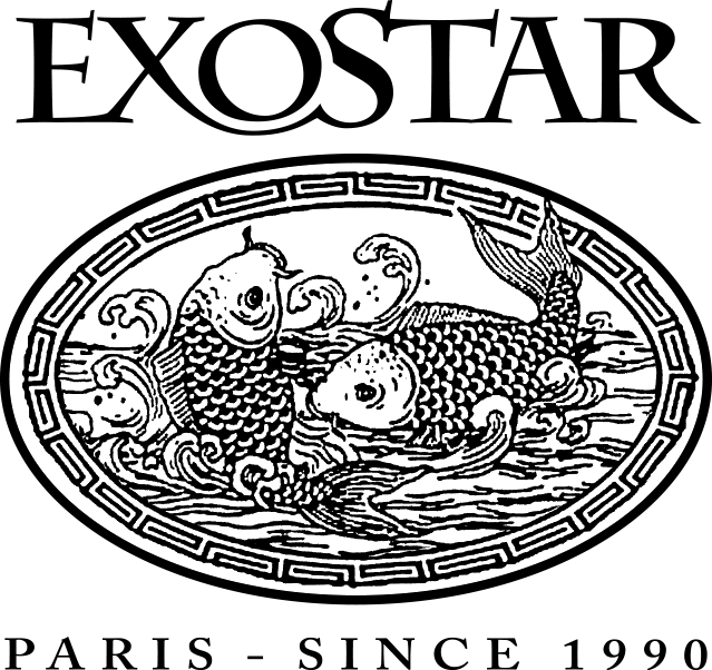 Exostar : Vos produits asiatiques surgelés | Exostar Paris