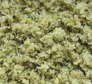 CITRONNELLE HACHÉE 100GR Origine: Vietnam