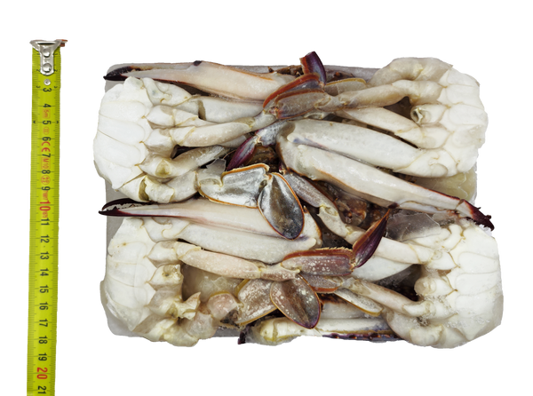 CRABE COUPÉ TAILLE "LLL" 1KG (800GR NET) Exostar Paris