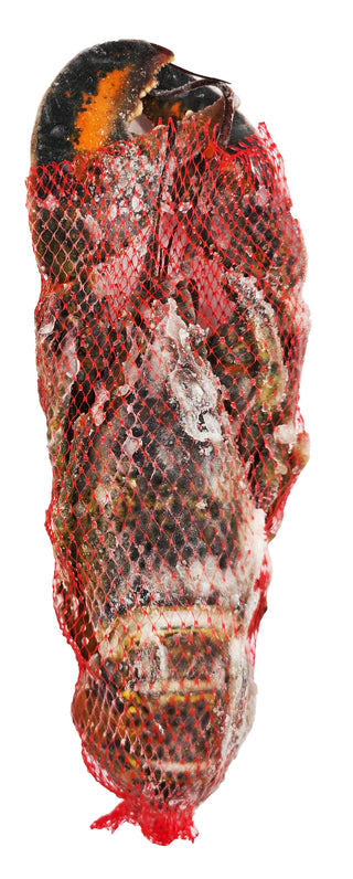 HOMARD CRU CANADA ENVIRON 630G NET Exostar Paris