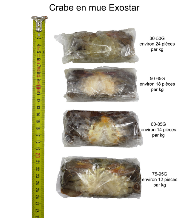 CRABE EN MUE 1KG Origine: Indonésie