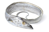 Fish Darne Belt / Cả Họ Cắt Khúc 1kg