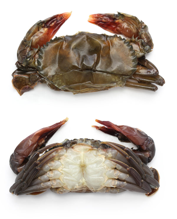 CRABE EN MUE 1KG Origine: Indonésie