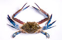 CRABES COUPÉ TUNISIE 1,5KG Origine: Tunisie