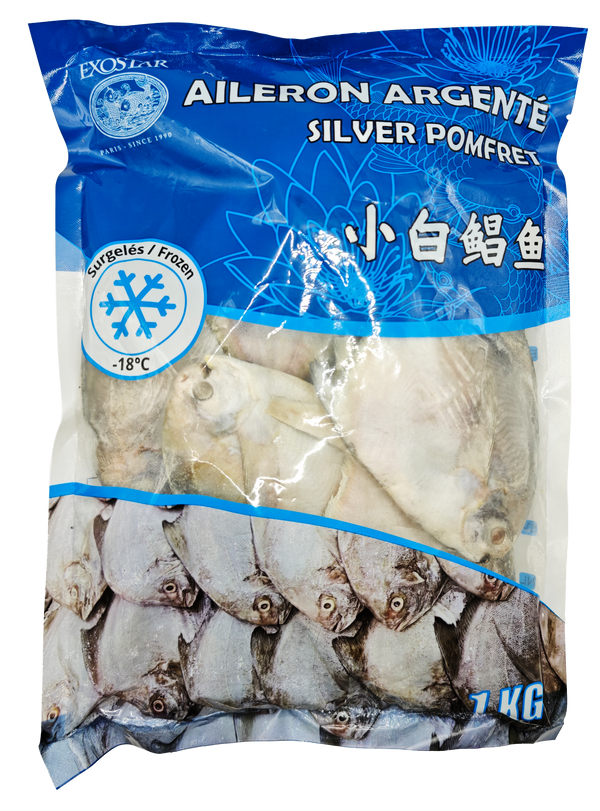 AILERON ARGENTÉ 1KG Origine: Chine