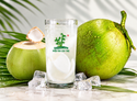 Jus de jeune noix de coco surgelé – Bamboo Tree – 264 g Origine: Vietnam