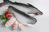 PANGAS EN TRANCHE 1KG (800GE NET)