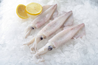 TUBE D'ENCORNET CALIFORNIE 1KG Origine: États-Unis