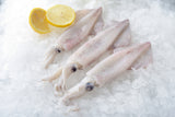 CALAMAR ENTIER DE CALIFORNIE 1KG