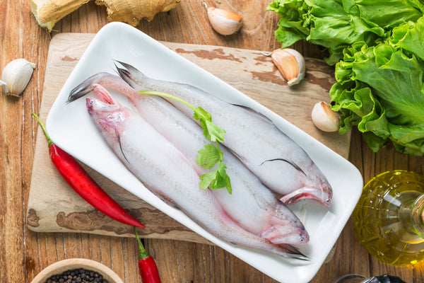 HARPADON NEHEREUS / CÁ KHOAI 500GR Origine: Vietnam